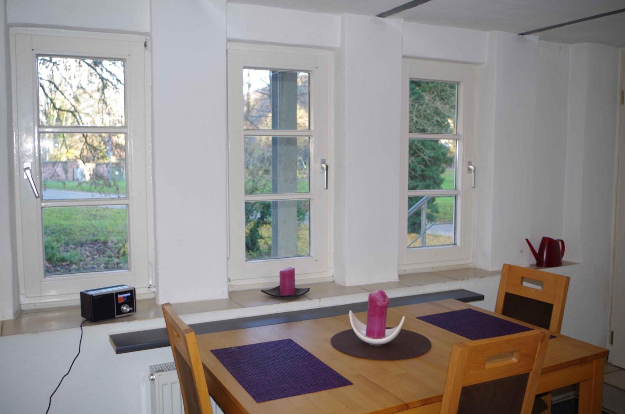 Ferien-Wohnung Am Menzer-Park Неккаргемюнд Экстерьер фото